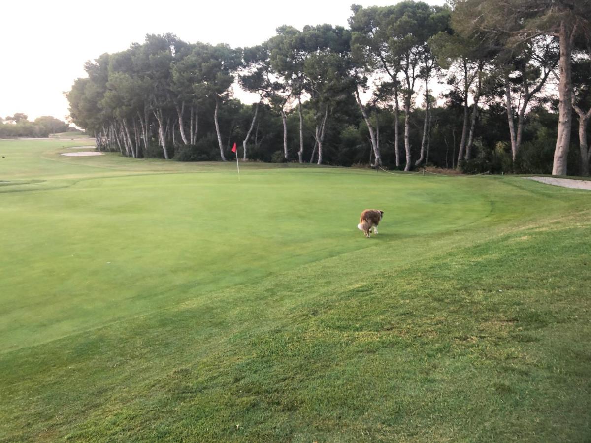 Saint James Park Upstairs Dehesa de Campoamor  外观 照片